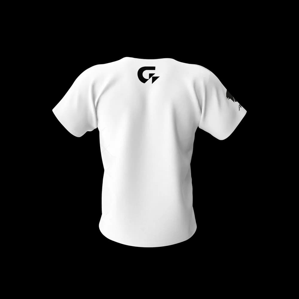 Product gallery https://cdn.dummyjson.com/product-images/mens-shirts/gigabyte-aorus-men-tshirt/3.webp
